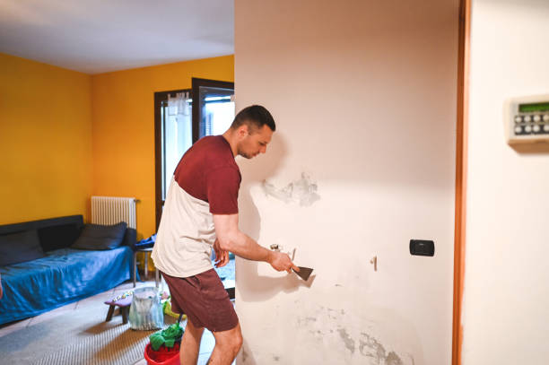 Trusted Lutherville, MD Mold Removal Experts